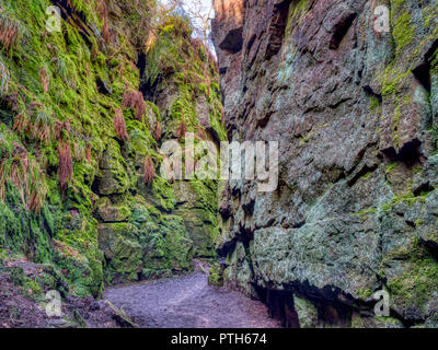 Lud die Kirche die Tiefe Mühlstein Grit moosbedeckte Abgrund voller Geschichte, Mythen & Legenden in der Nähe von gradbach im Peak District National Park, Staffordshi Stockfoto