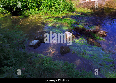 Der Fluss fließt durch Lathkill Lathkill Dale unten Über Haddon in der Derbyshire Dales UK Stockfoto