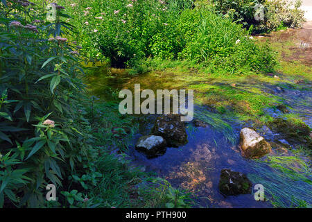 Der Fluss fließt durch Lathkill Lathkill Dale unten Über Haddon in der Derbyshire Dales UK Stockfoto
