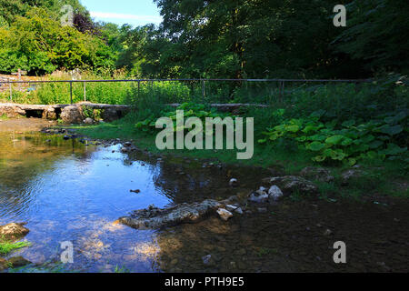 Der Fluss fließt durch Lathkill Lathkill Dale unten Über Haddon in der Derbyshire Dales UK Stockfoto