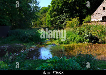Der Fluss fließt durch Lathkill Lathkill Dale unten Über Haddon in der Derbyshire Dales UK Stockfoto