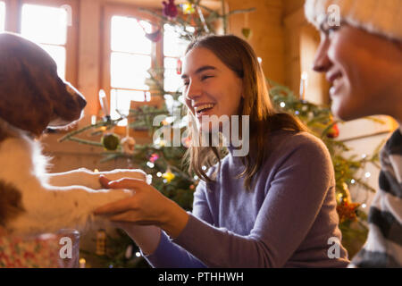 Gerne Bruder und Schwester spielen mit Hund in Weihnachten Wohnzimmer Stockfoto