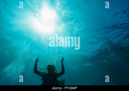 Frau Tauchen Unterwasser, Vava'u, Tonga, Pazifik Stockfoto