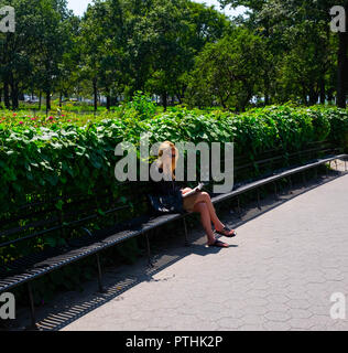 Eine junge Frau in Sonnenbrille entspannt sich in der Ruhe und Sonne von Battery Park, New York, indem sie auf einer Bank sitzt und an einem schönen sonnigen Tag ein Buch liest Stockfoto