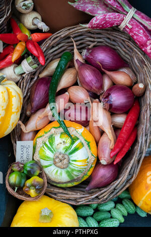 Farbenfrohe Herbstgemüse bei einer Herbstshow. VEREINIGTES KÖNIGREICH Stockfoto