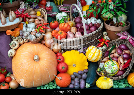 Farbenfrohe Herbstgemüse bei einer Herbstshow. VEREINIGTES KÖNIGREICH Stockfoto