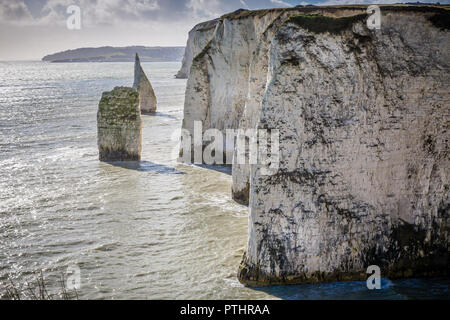 Kreidefelsen an der Küste in der Nähe von Old Harry Rocks, Swanage, Dorset, Großbritannien am 21. Februar 2014 Stockfoto