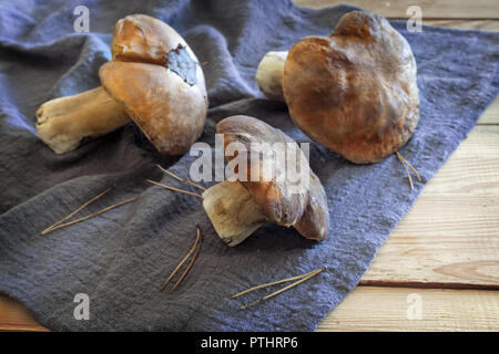Auf dem Tisch auf einem Leinen Servietten sind frische Pilze Steinpilze. Stockfoto