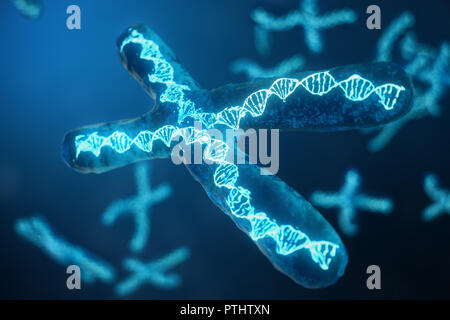 3D-Abbildung X-Chromosomen mit der DNA, der genetische Code. Genetik Konzept, Medizin Konzept. Zukunft, genetische Veränderungen. Ändern der genetische Code auf der biologischen Ebene. Stockfoto