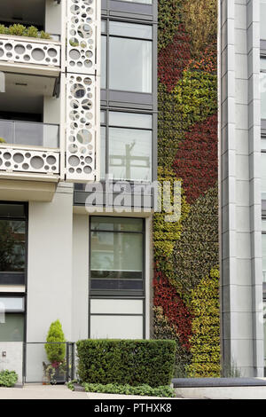 Grüne Wand oder Living Wall vertikalen Garten auf der Seite der modernes Wohnhaus in Vancouver, BC, Kanada Stockfoto