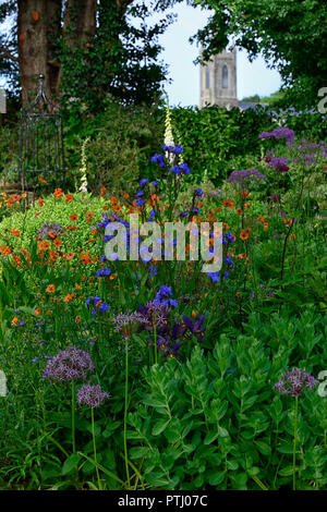 Anchusa azurea Dropmore,geum coccineum total Mandarine,Chaerophyllum hirsutum roseum,orange,blau,pink,Blumen,Frühling,Garten,Gärten, Stockfoto