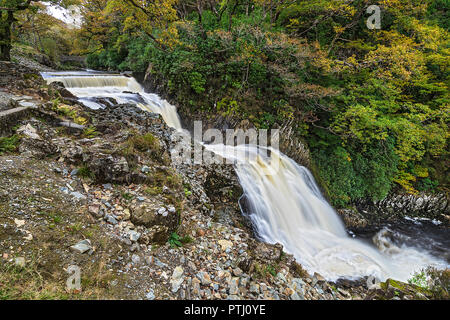 Rhaeadr Mawddach Wasserfall auf thr Afon Mawddach (Fluss) im Coed y Brenin Wald in der Nähe von Dolgellau Snowdonia National Park North Wales UK Oktober 262 Stockfoto