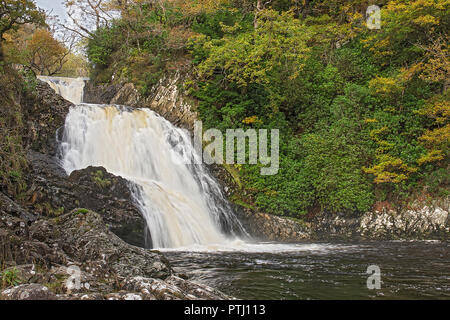 Rhaeadr Mawddach Wasserfall auf thr Afon Mawddach (Fluss) im Coed y Brenin Wald in der Nähe von Dolgellau Snowdonia National Park North Wales UK Oktober 347 Stockfoto