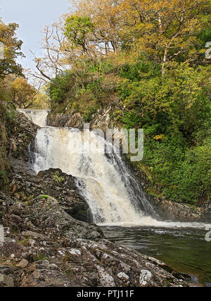 Rhaeadr Mawddach Wasserfall auf thr Afon Mawddach (Fluss) im Coed y Brenin Wald in der Nähe von Dolgellau Snowdonia National Park North Wales UK Oktober 349 Stockfoto