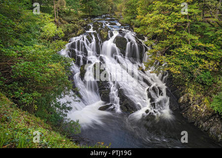 Schlucken fällt auf Afon (Fluss) Llugwy westlich von Betws-y-coed Snowdonia National Park North Wales UK September0948 Stockfoto