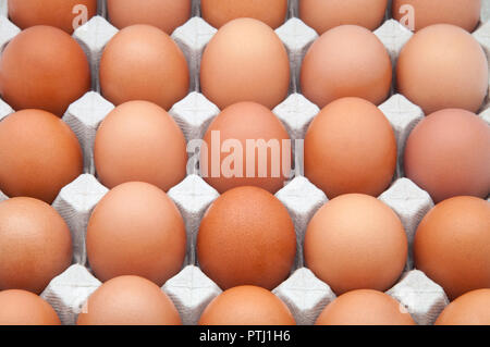 Den Kartoneinsatz mit braunen Eiern gefüllt Stockfoto