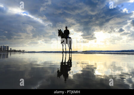 Ein Foto von Mann ein Pferd reiten am strand, Gaza, Palästina. Stockfoto