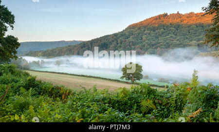 Bigsweir Brücke im unteren Wye Valley von Nebel umgeben. Stockfoto