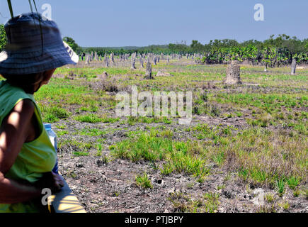 Frau touristische Blick auf die Magnetic Termite Mounds, Amitermes Meridionalis, Lichfield National Park, Northern Territory, Australien Stockfoto