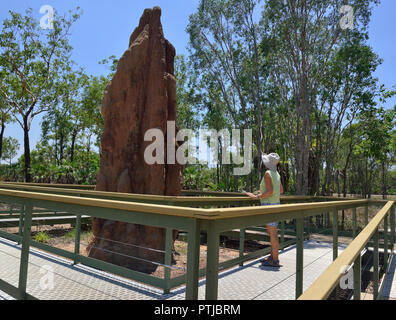 Touristische sieht bei Giant Damm durch die Cathedral Termiten in den Litchfield National Park, Northern Territory, Australien gemacht Stockfoto