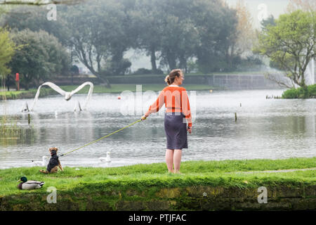 Eine Frau, die zu ihrem Hund in der Nähe von einem See in Newquay in Cornwall. Stockfoto