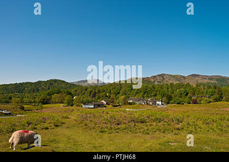 Elterwater Village und The Langdales im Sommer. Stockfoto