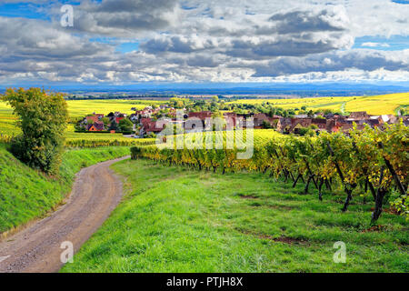 Ein Herbst Blick auf Le Puy-en-Velay über Weinberge auf der Suche nach der Weinlese. Stockfoto