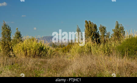 Wildernss der Mündung des Flusses Guadalhorce Naturschutzgebiet mit Gebirge im Hintergrund an einem sonnigen Tag mit blauen Himmel Stockfoto