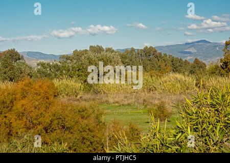 Wildernss der Mündung des Flusses Guadalhorce Naturschutzgebiet mit Gebirge im Hintergrund an einem sonnigen Tag mit blauen Himmel Stockfoto