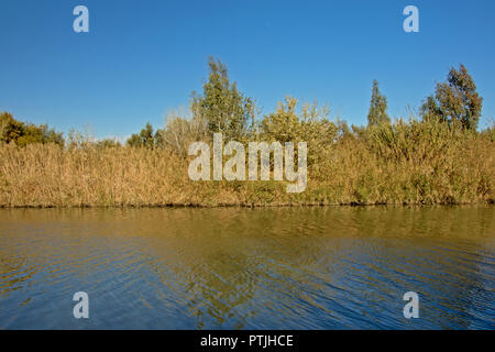 Guadalhorce Ufer mit Schilf und Sträuchern an einem sonnigen Tag mit blauen Himmel Stockfoto