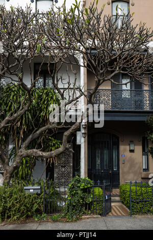 Australische Gehäuseformen, späten viktorianischen in die Elizabeth Street, Paddington, Sydney. Stockfoto