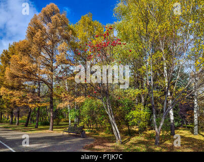 Gemütliche Ecke herbst Park mit der Bank unter Rowan Tree Branches mit Büscheln von roten Beeren Stockfoto