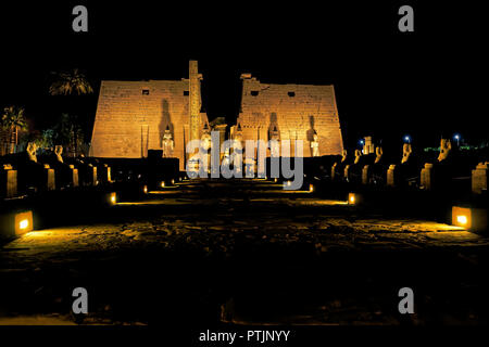 Auf der Suche nach den ersten Pylon der Luxor Tempel bei Nacht, von der Avenue des menschlichen Sphingen vorangegangen Stockfoto