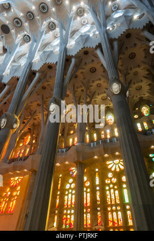 Gaudis einzigartiger, baumartige Verzweigung Spalte, frame Glasfenster in der Kirche La Sagrada Familia in Barcelona. Stockfoto