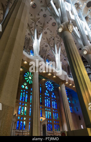 Gaudis einzigartiger, baumartige Verzweigung Spalte, frame Glasfenster in der Kirche La Sagrada Familia in Barcelona. Stockfoto