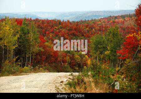 Herbst Landschaft Natur Szene. Stockfoto