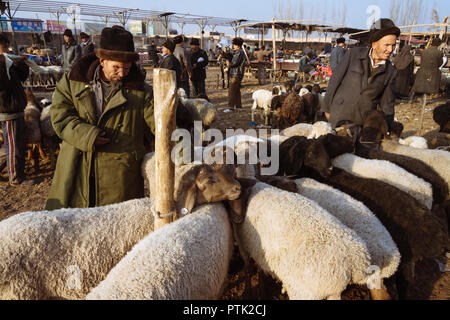 Kashgar, Xinjiang, China: Uiguren Männer kaufen und Schafe bei Mal Basar, der grand Sonntag Viehmarkt von Kashgar zu verkaufen. Stockfoto