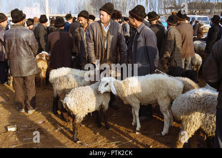 Kashgar, Xinjiang, China: Uiguren Männer kaufen und Schafe bei Mal Basar, der grand Sonntag Viehmarkt von Kashgar zu verkaufen. Stockfoto