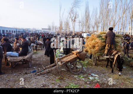 Kashgar, Xinjiang, China: Uiguren treffen sich Leute in Mals Basar, der grand Sonntag Viehmarkt von Kashgar. Stockfoto