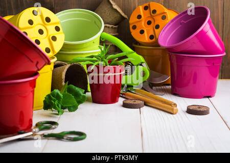 Home Garten Konzept mit leeren Kunststoff Bunte Töpfe und unterschiedliche Tools für die Aussaat auf Holz- Hintergrund mit Kopie Raum Stockfoto