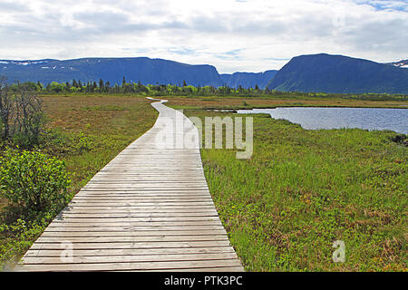 Western Brook Pond und Gros Morne National Park, Neufundland, Kanada, Boardwalk, Pfad und der Tischplatte Berge Stockfoto