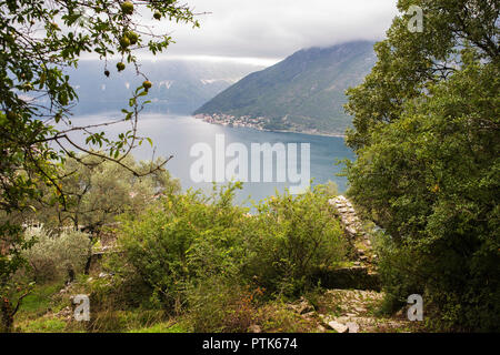 Boka Kotorska (Bucht von Kotor) von der verlassenen Hügel Ortschaft Gornji Stoliv, Montenegro Stockfoto