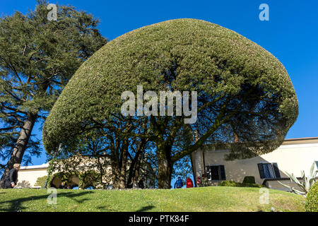 Lecco, Italy-April 1, 2018: Garten in der berühmten Villa del Balbianello in Lecco, Lombardei Stockfoto