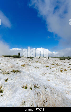 Erster Schnee im Riesengebirge (Riesen Berge). Polen, Niederschlesien Provinz. Stockfoto