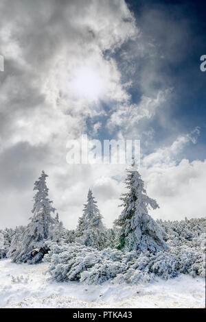 Erster Schnee im Riesengebirge (Riesen Berge). Polen, Niederschlesien Provinz. Stockfoto