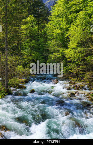 Cold Mountain Stream aus Wasserfall Savica, Fluss Sava in der Nähe von Lake Bohinj, Slowenische Alpen, Slowenien. Der Sava Bohinjka ist ein Oberlauf des Flusses Sava Stockfoto