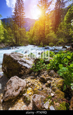 Cold Mountain Stream aus Wasserfall Savica, Fluss Sava in der Nähe von Lake Bohinj, Slowenische Alpen, Slowenien. Der Sava Bohinjka ist ein Oberlauf des Flusses Sava Stockfoto