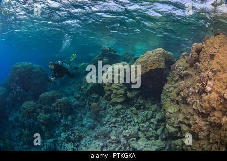 Weibliche Scuba Diver erforscht Blue lagoon Innenstruktur widerspiegelt, Farben der Korallen im Roten Meer. Stockfoto