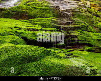 Bemoosten Felsen und Wasserfall an der Bucht von Tintagel in Cornwall. Stockfoto