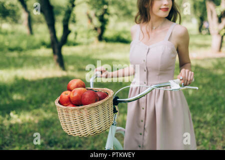 Teilweise mit Blick auf die Frau in Kleid Holding retro Fahrrad mit Weidenkorb voller Reife äpfel an Land Stockfoto